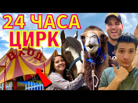 Видео: 24 ЧАСА В ЦИРК