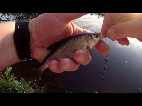 Видео: Мормышинг. НАВАХО Мормышка (Олта), 1.98м, 0.2-1г