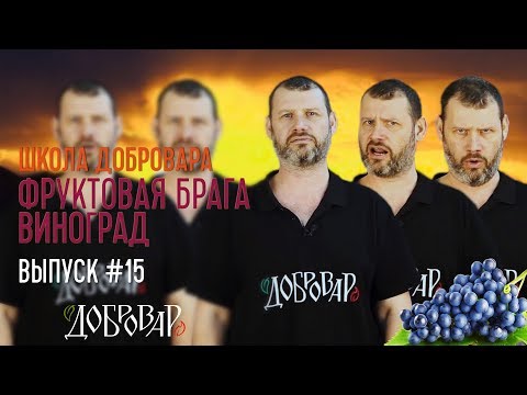 Видео: Фруктовая брага -Виноград - Школа Добровара #15