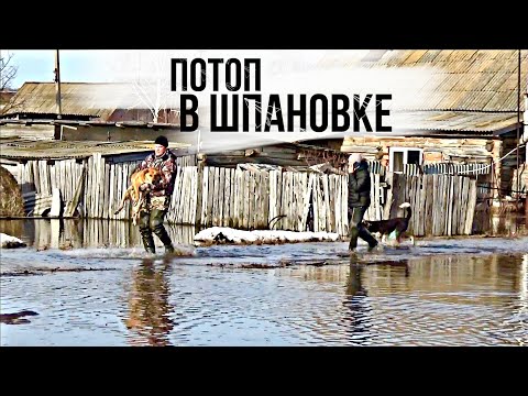 Видео: ПОТОП В ШПАНОВКЕ!  ЛИПОВКА БУШУЕТ!  СИЛЬНЫЙ ПАВОДОК В САМАРСКОЙ ОБЛАСТИ!