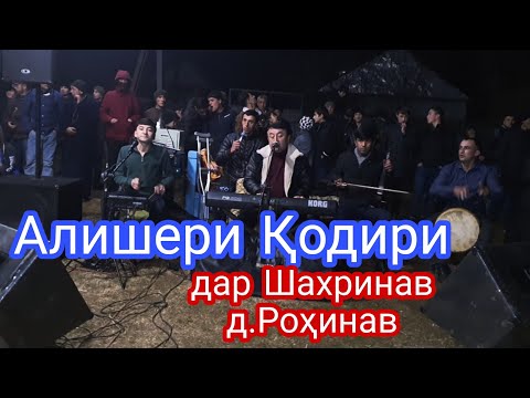 Видео: Алишери Кодири дар Шахринав д.Рохинав туйи Шахзод Дустов