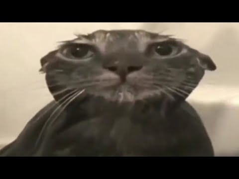 Видео: Оно вышло! - Voices of the Void 0.9.0!