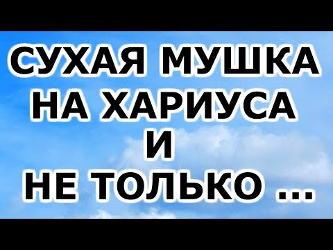 Видео: Вязание мушек для рыбалки. Сухая мушка Klinkhammer для ловли хариуса