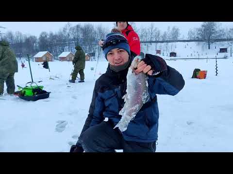 Видео: Ловля ФОРЕЛИ на платнике.