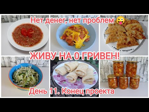 Видео: ЖИВУ НА 0 ГРИВЕН!!! День 11. Конец проекта 