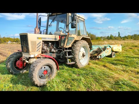 Видео: Уборка картофеля 🥔