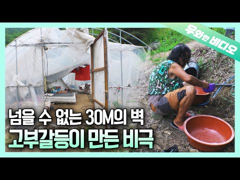 Видео: 12 лет жизни в виниловой теплице вместо ее собственного теплого дома