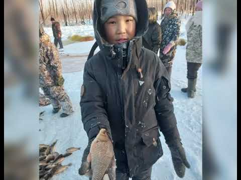 Видео: 🐟🐟🐟Сөбүлүүр дьарыкпыт-муҥха Дима,Коля Неустроевтар, Баайаҕа нэһилиэгэ