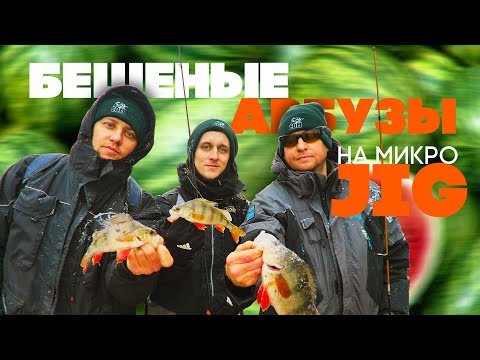 Видео: Арбузы на микро JiG