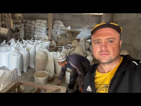 Видео: Богатый и Бедный Кыргызстан ! Как живут Кыргызы!