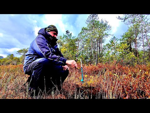 Видео: Пробурил болотный торф и опустил блесну. Рыбалка на нано озере на мормышку.