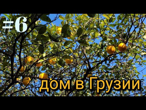 Видео: #6 Дом в Грузии. Работа в саду.