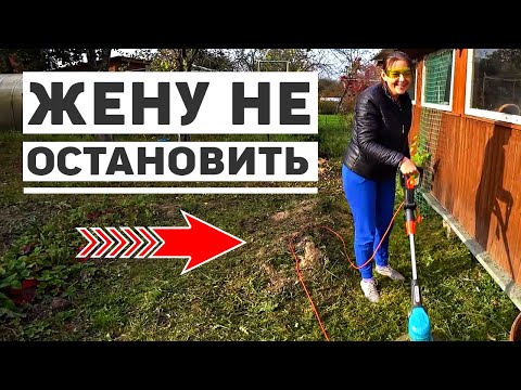 Видео: Осенний переполох на даче, первая подготовка участка к зиме