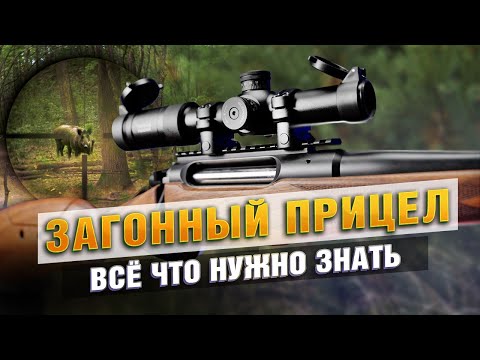 Видео: Загонный прицел - как выбрать, что купить?