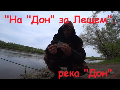 Видео: "Ехали за лещем, наловили карася".