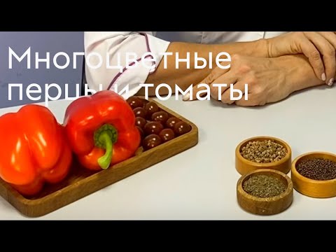 Видео: Многоцветные перцы и томаты #ШПС № 119