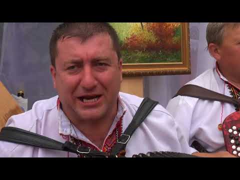 Видео: 1 Бринзя 17