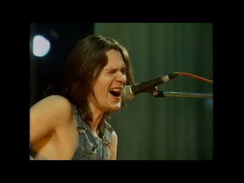 Видео: Чиж и C° - live (1995)