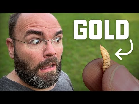 Видео: Самый простой трюк для получения бесплатного корма для кур