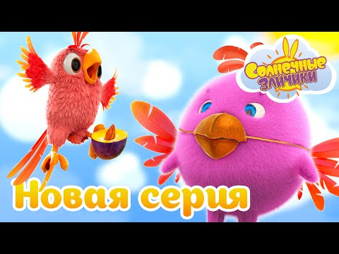 Видео: Легко ли быть попугаем? | Совершенно новый сезон 7 | Солнечные зайчики