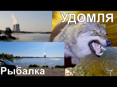 Видео: Удомля — Рыбалка на атомном озере