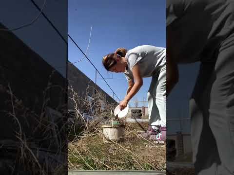 Видео: Архив
