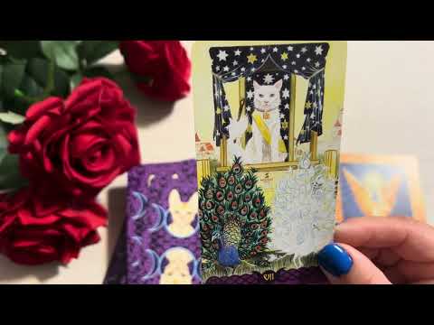 Видео: 13 НОЯБРЯ КАРТА ДНЯ ЧЕТВЕРГ ☕️