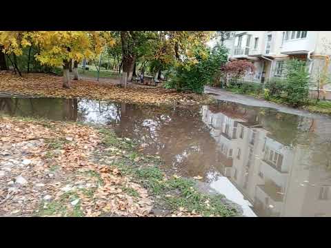 Видео: Вода, вода, кругом вода. ул.Павлова, 10а. 19 октября 2024г.