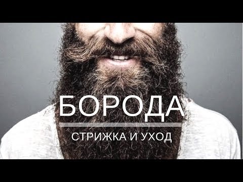 Видео: Как ухаживать за бородой? Стрижка бороды - Арсен Декусар