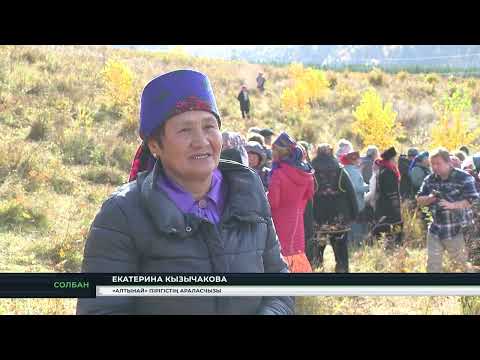 Видео: Алтынай в Саяногорске  Солбан 31 10 2024