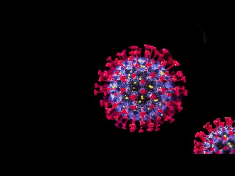 Видео: Как биотехнологическая некромантия привела к крупнейшей эпидемии века [Возможно]