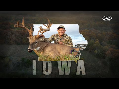 Видео: Упрямый старый айовский олень с расстояния 2 ярдов! | Охота с луком