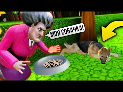 Видео: У МИСС ТИ ПОЯВИЛАСЬ СОБАКА Злая Учительница Scary Teacher 3D