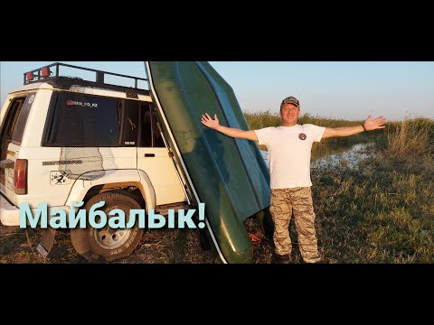 Видео: На Майбалыке с Лодки