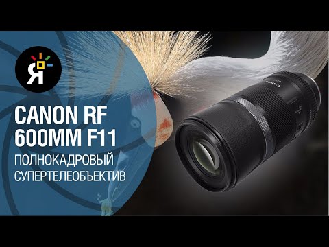 Видео: Canon RF 600mm F11: обзор на полнокадровый супертелеобъектив