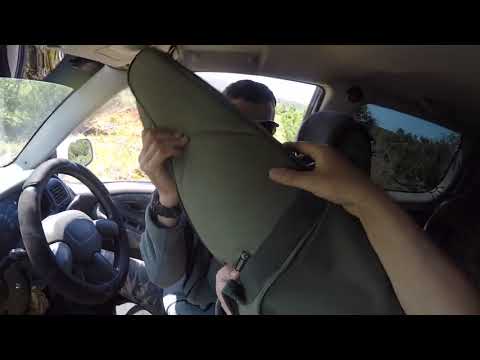 Видео: Вынужденный отстрел бурого медведя