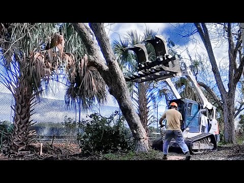 Видео: Хватаюсь за любую работу в США, даже опасную!