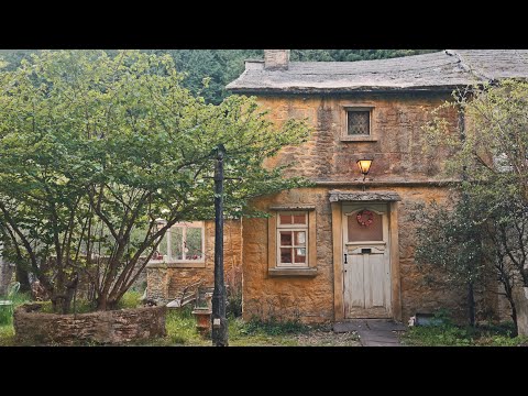 Видео: Погрузись в английскую сказку в Киото🏡 Чай🫖, кошки🐱 и уют