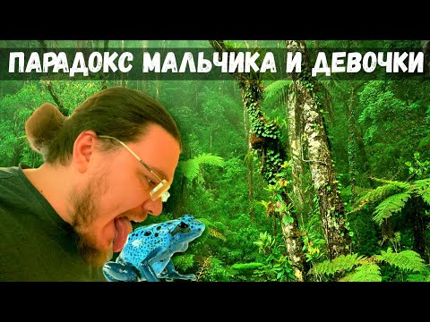 Видео: ✓ Задача про лягушек или парадокс мальчика и девочки | В интернете кто-то неправ #010 | Борис Трушин
