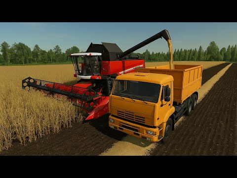 Видео: 💸 КУПИЛ НОВЫЙ КОМБАЙН — ТЕСТ НА ПОЛЕ
