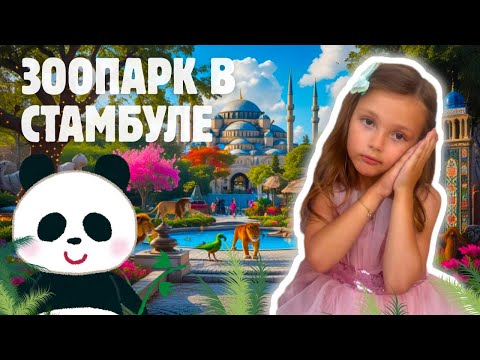 Видео: Зоопарк в Стамбуле