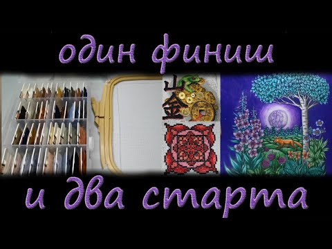 Видео: конец июня/один финиш и два старта/вдарилась в вышивку/еле успела
