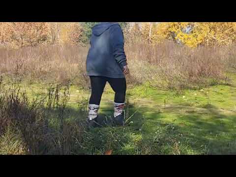 Видео: 1 листопада 2025 р.