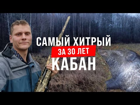 Видео: Профессор кабаньих дел!