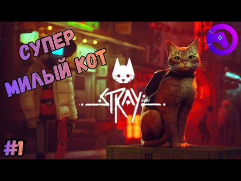Видео: СУПЕР МИЛЫЙ КОТ ➤ STRAY ◉ Прохождение #1