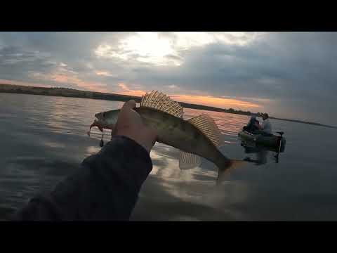 Видео: Летний выезд на окуня и судака на водохранилище Ставропольского края
