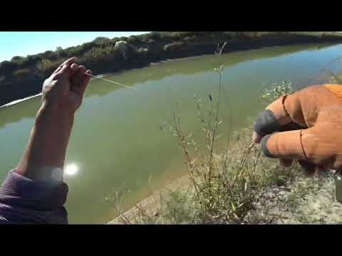 Видео: рыбалка с рогаткой последнее видео этого сезона про рыбалку . fishing with a slingshot#fishing