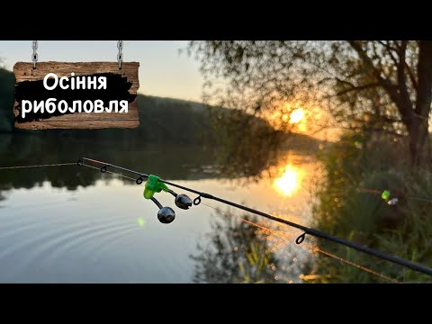 Видео: Карасі ДУПЛЕТОМ / Осіння риболовля #18