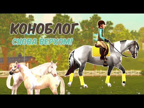 Видео: блог: завершающий этап в выборе лошади