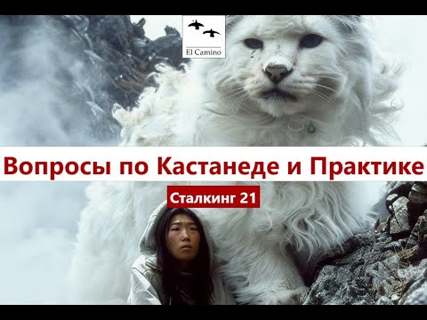 Видео: ЭНЕРГЕТИЧЕСКИЕ ФАКТЫ Кастанеды